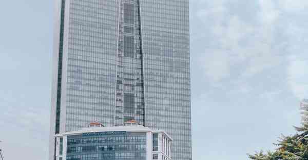 鲸鱼网络加速器app 鲸鱼网络加速器app